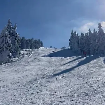 Apartman Kutija Kopaonik Exterior foto